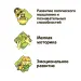 Миниатюра 5