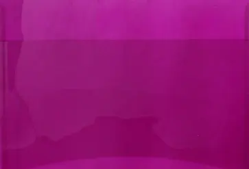 Папка для документов малиновая,А4 (46740) обложка книги