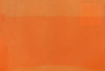 Папка для документов оранжевая, А4 (46741) обложка книги