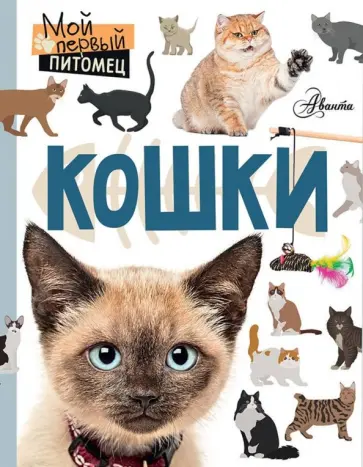 Мария Лагоша - Кошки обложка книги