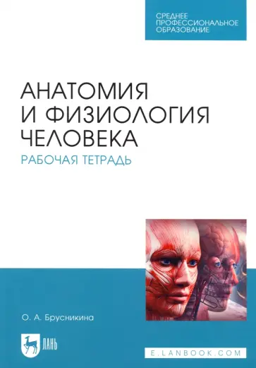 Ольга Брусникина - Анатомия и физиология человека. Рабочая тетрадь Ольга Брусникина - Анатомия и физиология человека. Рабочая тетрадь обложка книги