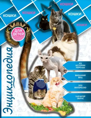 Людмила Соколова - Энциклопедия для детей. Кошки обложка книги