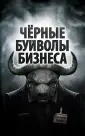 Соколов Денис