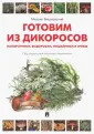 Вишневский Михаил Владимирович
