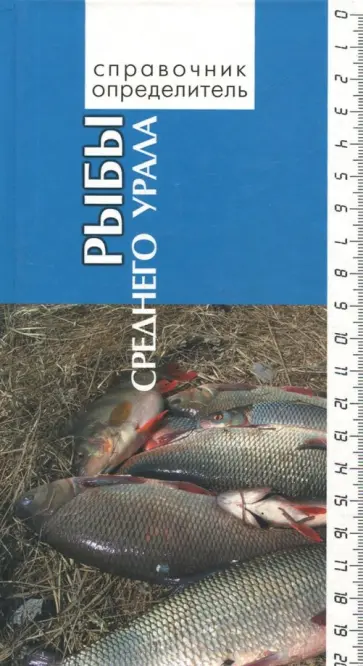 Богданов, Большаков - Рыбы Среднего Урала. Справочник-определитель обложка книги