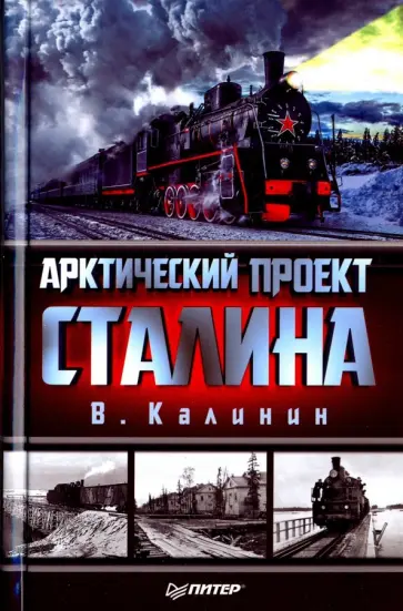 В. Калинин - Арктический проект Сталина В. Калинин - Арктический проект Сталина обложка книги