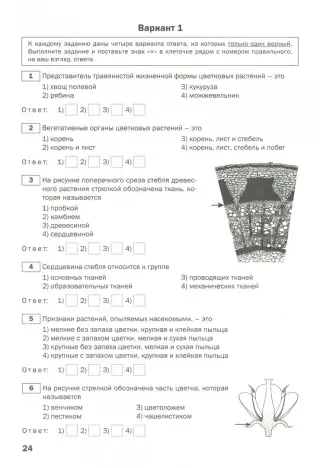 Правила дорожного движения (утверждены постановлением Прави