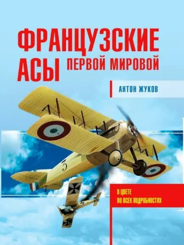 Антон Жуков - Французские асы Первой мировой обложка книги