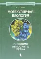 Спирин Александр Сергеевич