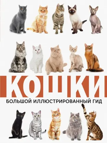 Николай Непомнящий - Кошки Николай Непомнящий - Кошки обложка книги