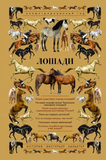 Анна Спектор - Лошади. Иллюстрированный гид Анна Спектор - Лошади. Иллюстрированный гид обложка книги