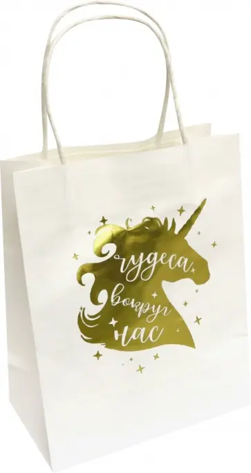 Пакет из крафт-бумаги "Чудеса" 17.8х22.9х9.8см (79129) обложка книги