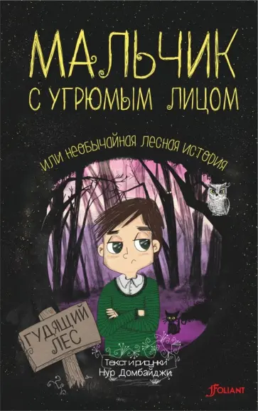 Нур Домбайджи - Мальчик с угрюмым лицом, или Необычайная лесная история обложка книги