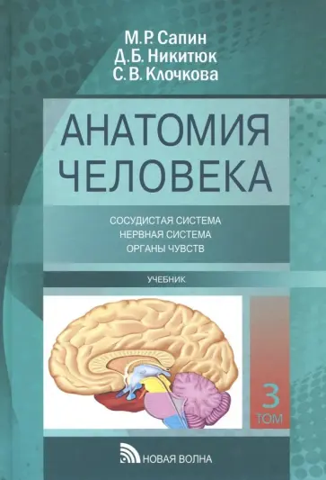 Сапин, Клочкова - Анатомия человека. Учебник. В 3-х томах Сапин, Клочкова - Анатомия человека. Учебник. В 3-х томах обложка книги