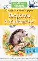 Миниатюра 1