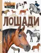Сергеева Ксения Андреевна