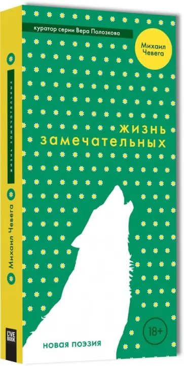 Михаил Чевега - Жизнь замечательных обложка книги