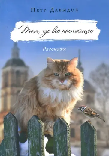 Петр Давыдов - Там, где всё настоящее обложка книги