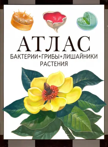 Иван Черепанов - Атлас. Бактерии, грибы, лишайники, растения Иван Черепанов - Атлас. Бактерии, грибы, лишайники, растения обложка книги