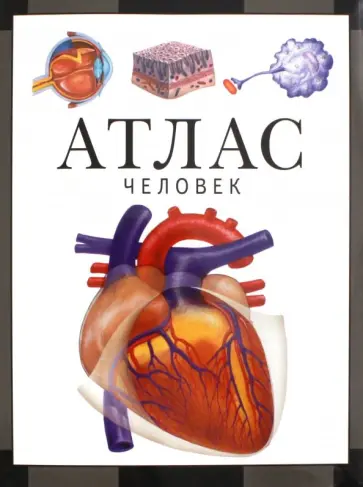 Сергей Барабанов - Человек. Атлас обложка книги