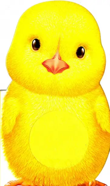 Furry Chick обложка книги