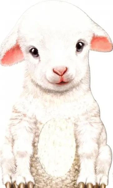 Annie Auerbach - Furry Lamb обложка книги