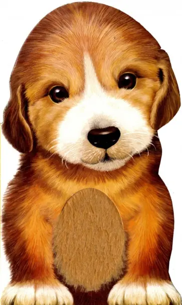 Furry Puppy обложка книги