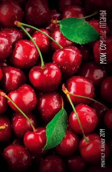 Мои сочные планы. Monthly Planner 2019 обложка книги