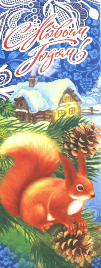 Закладка с магнитом Новый Год. Белка с шишкой обложка книги