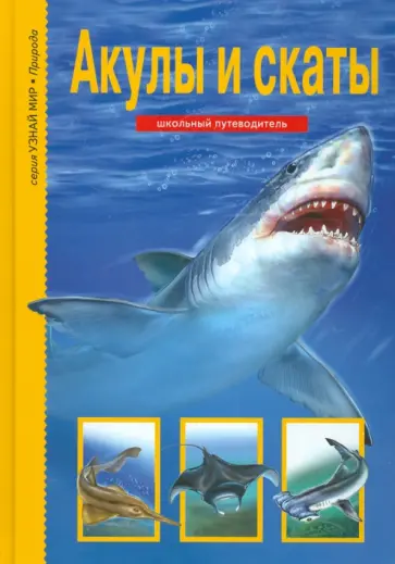 Юлия Дунаева - Акулы и скаты Юлия Дунаева - Акулы и скаты обложка книги