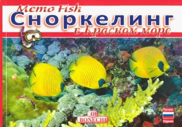 Андреа Гизотти - Мemo Fish. Сноркелинг в Красном  море обложка книги