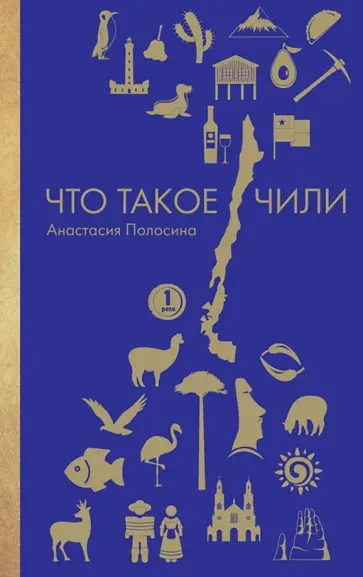 Анастасия Полосина - Что такое Чили обложка книги