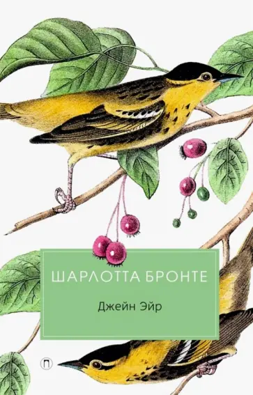 Шарлотта Бронте - Джейн Эйр Шарлотта Бронте - Джейн Эйр обложка книги