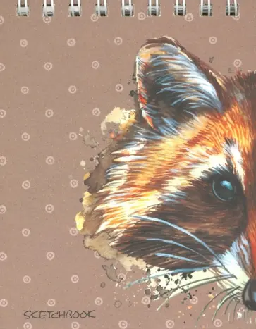 Скетчбук "Хитрый енот" (80 листов, А6+, евроспираль) (ТС6804658) обложка книги