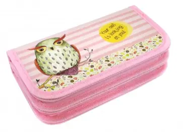 Пенал 2 отделения УМНАЯ СОВА (ПН-1855) обложка книги