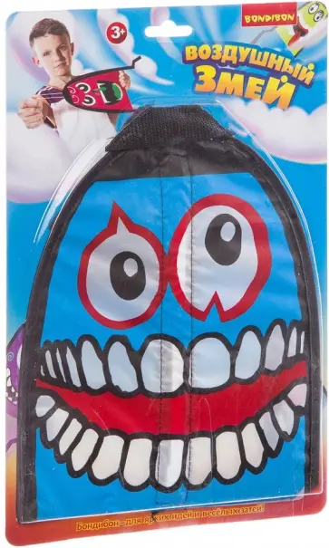 Воздушный змей с запуском (ВВ3071) обложка книги