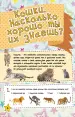 Миниатюра 5