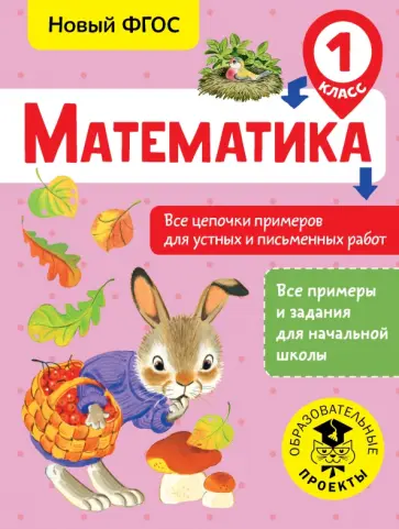 Алексей Кулаков - Математика. 1 класс. Все цепочки примеров для устных и письменных работ. ФГОС обложка книги