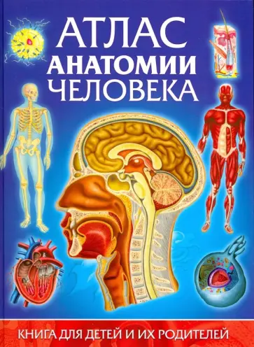 Винченцо Гуиди - Атлас анатомии человека. Книга для детей и их родителей Винченцо Гуиди - Атлас анатомии человека. Книга для детей и их родителей обложка книги