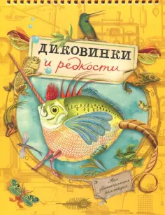 Моя удивительная коллекция. Диковинки и редкости Моя удивительная коллекция. Диковинки и редкости обложка книги