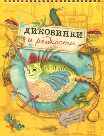 Моя удивительная коллекция. Диковинки и редкости Моя удивительная коллекция. Диковинки и редкости обложка книги