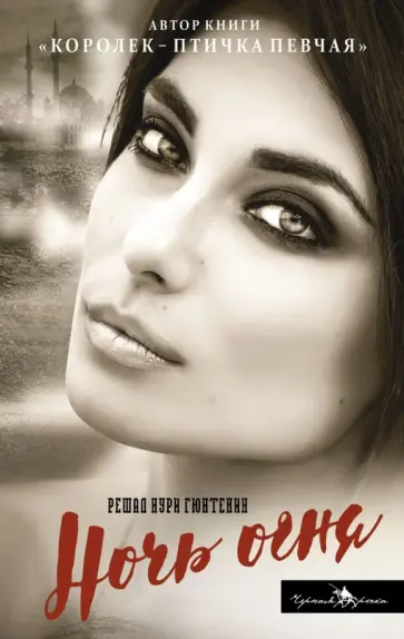 Решад Гюнтекин - Ночь огня Решад Гюнтекин - Ночь огня обложка книги