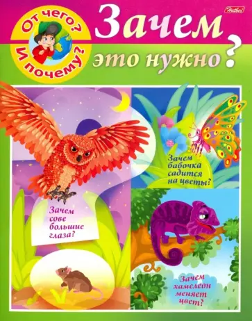 Марина Султанова - От чего и почему? Зачем это нужно? Марина Султанова - От чего и почему? Зачем это нужно? обложка книги