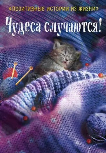 Шумак, Чернецкая - Чудеса случаются! обложка книги
