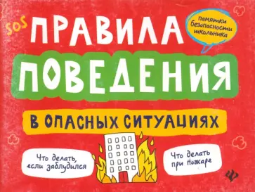 Александр Толмачев - Правила поведения в опасных ситуациях обложка книги