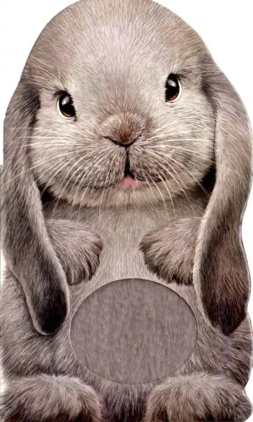 Annie Auerbach - Furry Bunny обложка книги