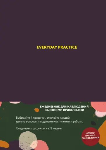 Варя Веденеева - Everyday Practice обложка книги