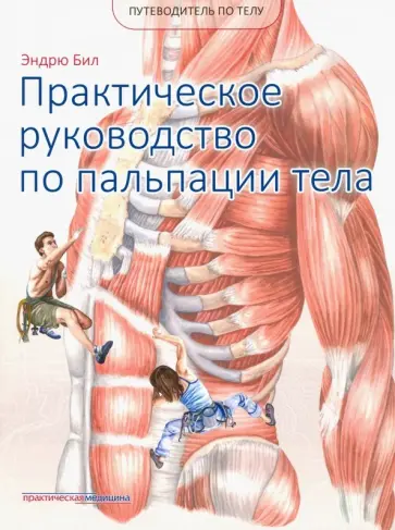 Эндрю Бил - Путеводитель по телу. Практическое руководство по пальпации тела Эндрю Бил - Путеводитель по телу. Практическое руководство по пальпации тела обложка книги
