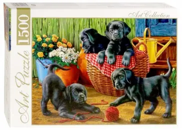 Artpuzzle-1500 "Черные лабрадоры в саду" (ХАП1500-4461) обложка книги