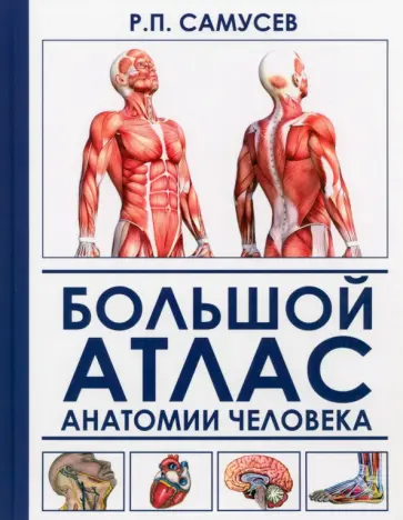 Рудольф Самусев - Большой атлас анатомии человека Рудольф Самусев - Большой атлас анатомии человека обложка книги